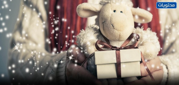 توزيعات عيد الأضحى بنجران