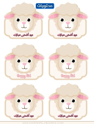 مواضيع توزيع المياه في عيد الأضحى