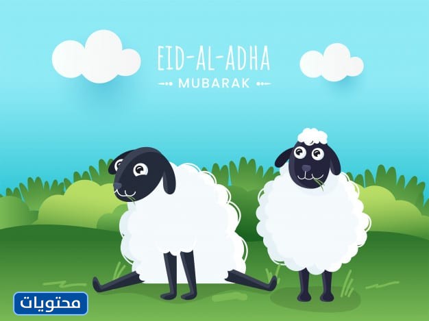 خلفيات خروف العيد 2021