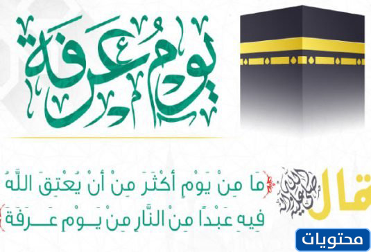 دعاوى قضائية بشأن سلوك عرفات