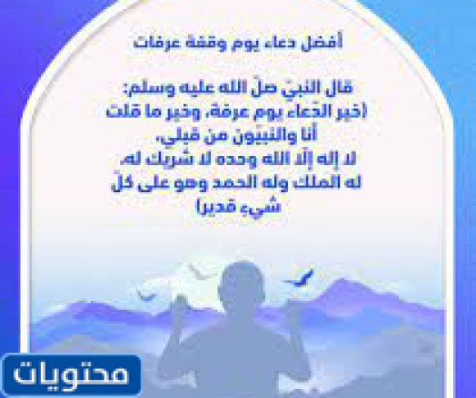 دعاوى قضائية بشأن سلوك عرفات