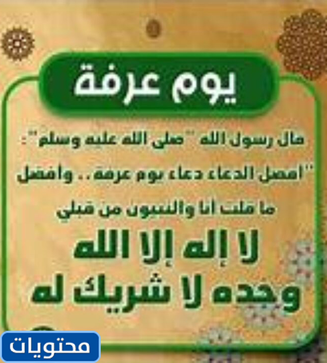 دعاوى قضائية بشأن سلوك عرفات