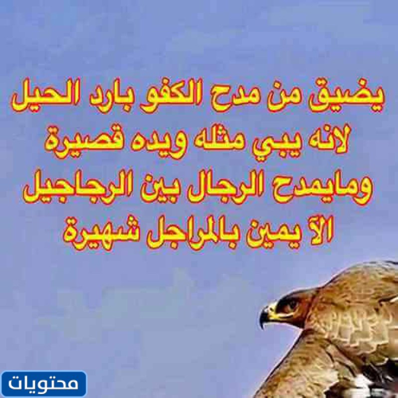 شعر بدوي عن الخوي