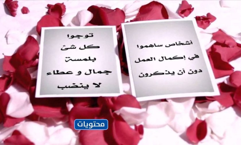 شهادة تقدير للمدير بمناسبة يوم المديرين في 16 أكتوبر 2022