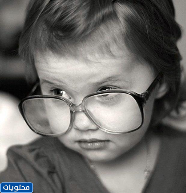 صورة شخصية أنيقة