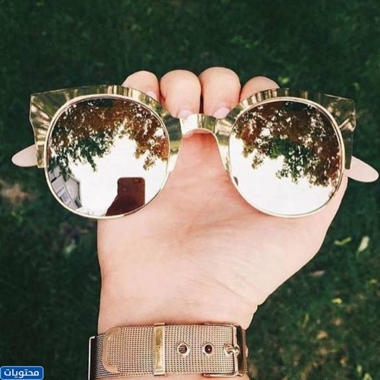 صورة شخصية أنيقة