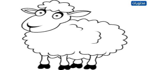 صور مرسومة ومنوعة لخروف العيد 