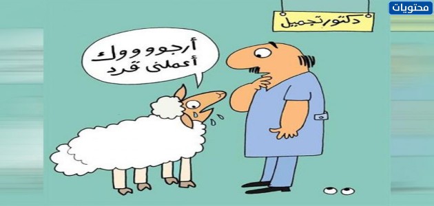 صور خروف العيد مضحكة