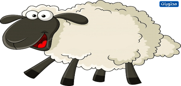 صور خروف العيد 2021