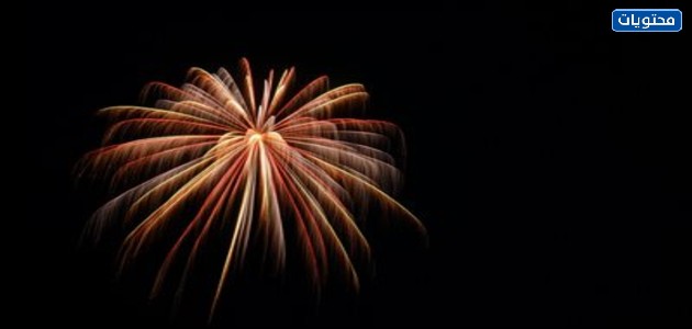 أجمل صور تورتات عيد الأضحى