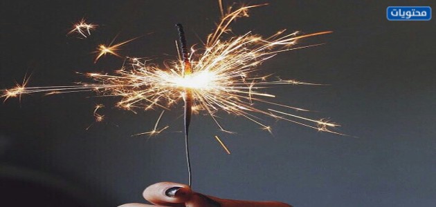 أجمل صور تورتات عيد الأضحى