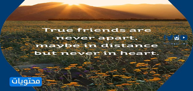 İngilizce dostluk ile ilgili kelimelerin resimleri