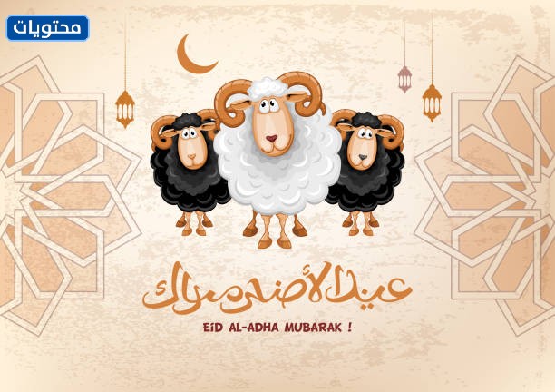 أجمل صور عيد الأضحى