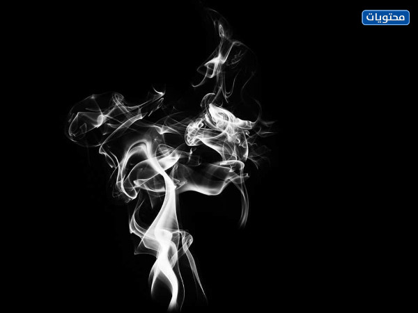 خلفية سوداء جديدة 2022