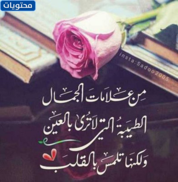 أروع الصور وأكثرها إثارة للإعجاب من القلب إلى القلب