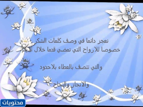 عبارات الشكر لمدير تويتر