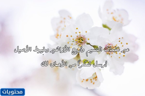 عبارات الشكر لمدير تويتر