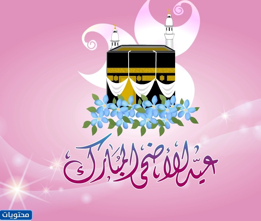 أجمل صور عيد الأضحى