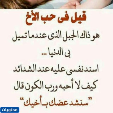 تحدث عن سلسلة النقل والخلف