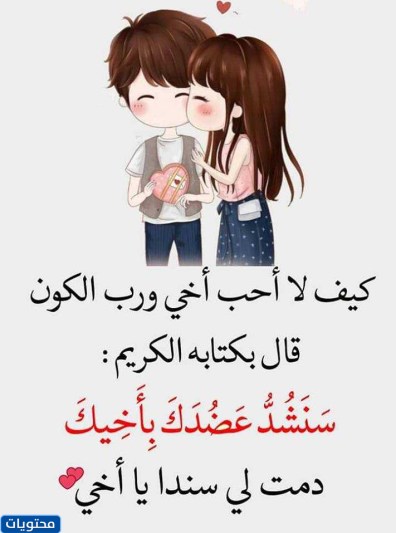 تحدث عن سلسلة النقل والخلف