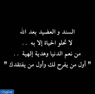 تحدث عن سلسلة النقل والخلف