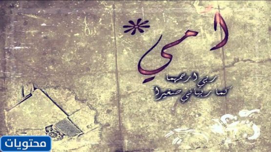 2022 Kurban Bayramı'nda ölen anne hakkında resimlerle konuşun