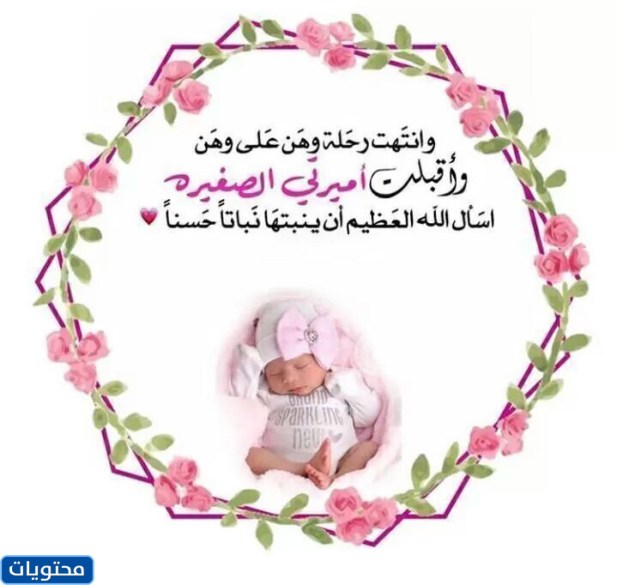 الكلمات ورحلاتهم انتهت بالضعف