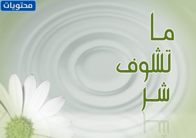 من السيء الرد على ما تراه