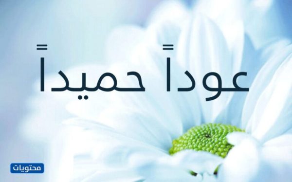 العودة إلى الخلفيات المدرسية