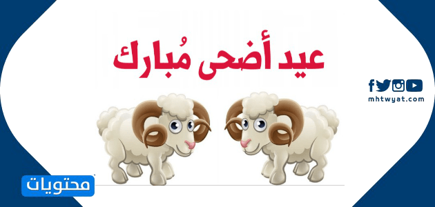 أجمل صور خروف العيد