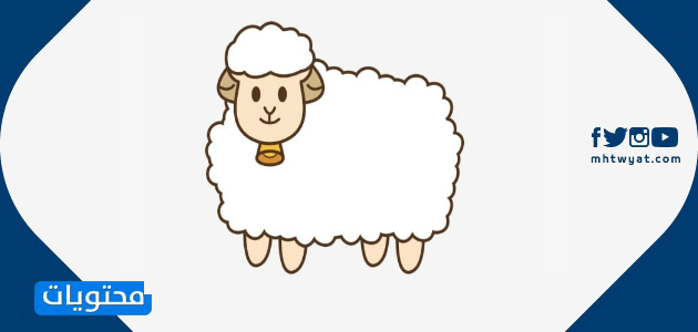 أجمل صور خروف العيد