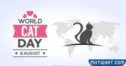 صور وعبارات عن اليوم العالمي للقطط 2022