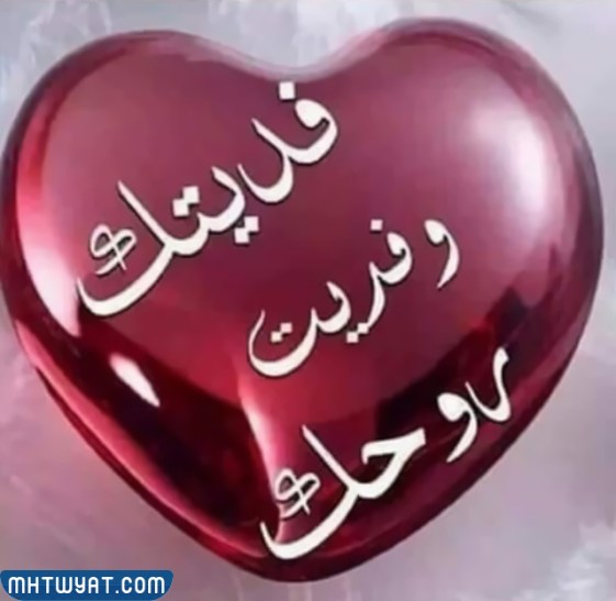 صور الرد على قلبك