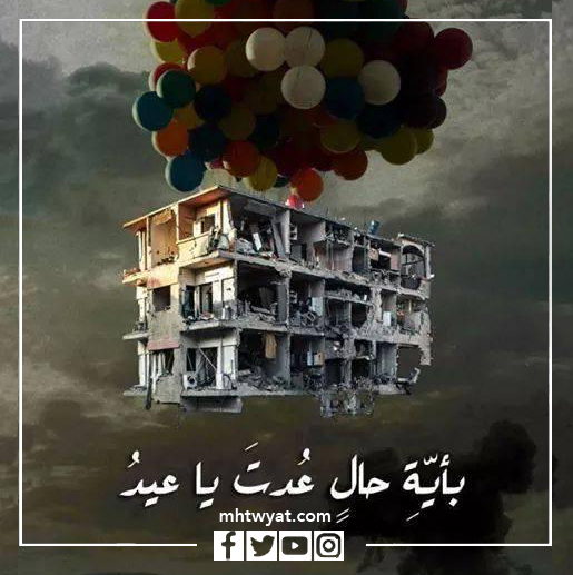 بالصور: على كل حال لقد عدت، عيد الأضحى 2022