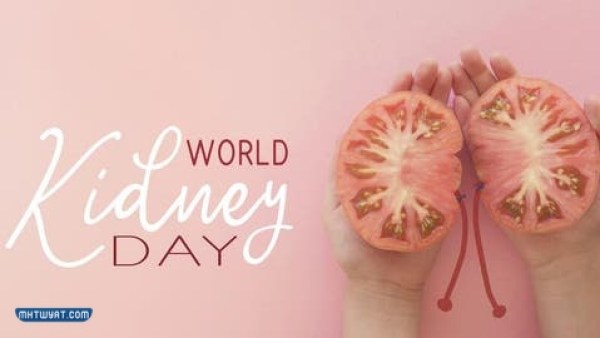 عبارات وصور عن اليوم العالمي للكلى 2022