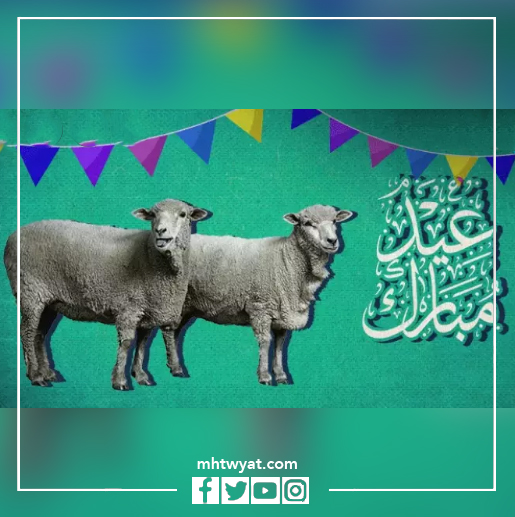 صور كلمات متعلقة بعيد الأضحى