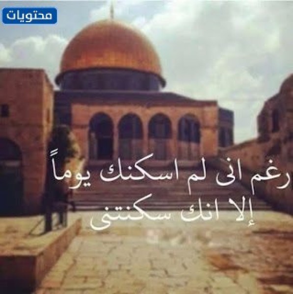 أطفال غزة تحت القصف بالصور