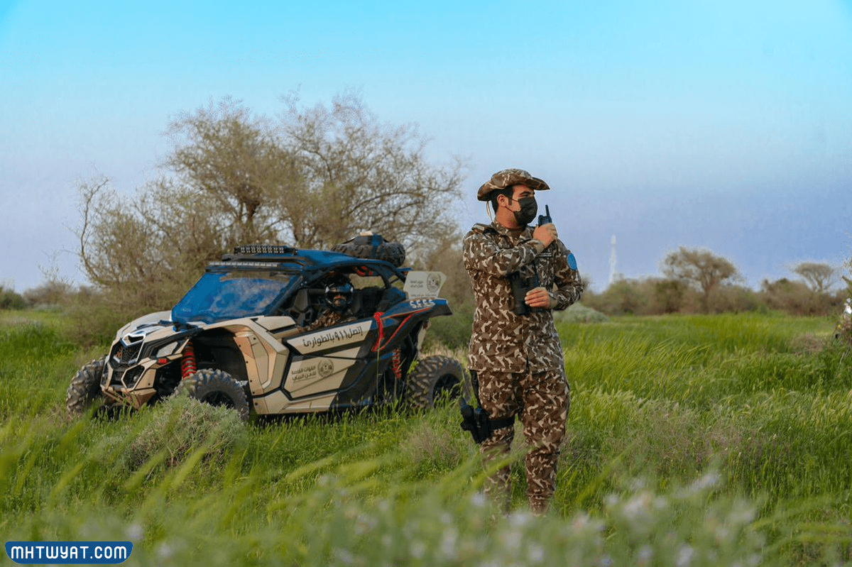 أدوات الأمن المحيطي