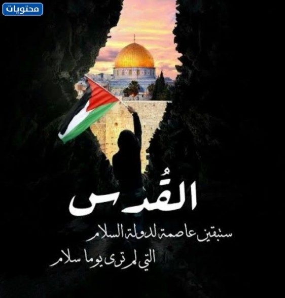 أطفال غزة تحت القصف بالصور