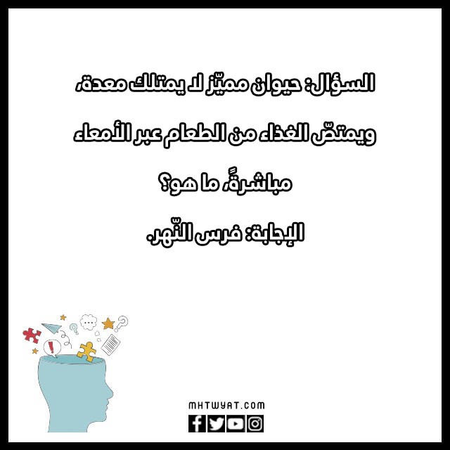 أسئلة ثقافية مصورة للأطفال