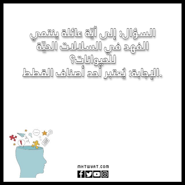 اسئلة للاطفال بالصور 2023