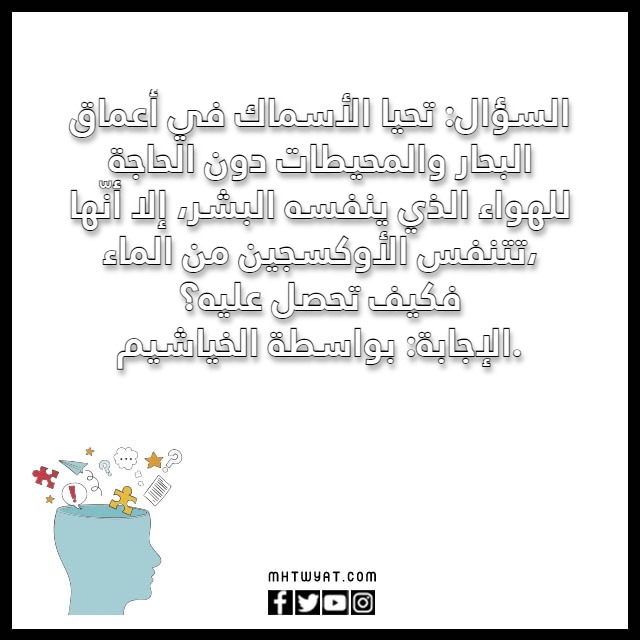 اسئلة للاطفال بالصور 2023