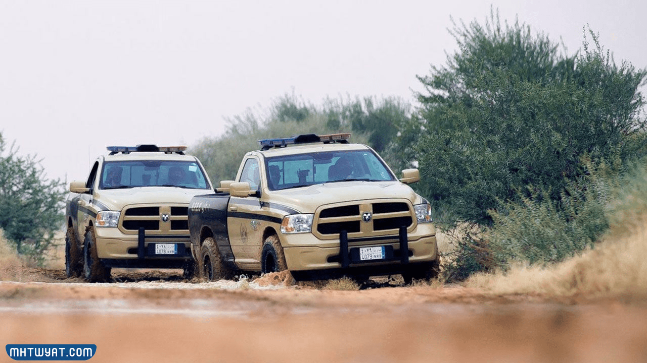 أدوات الأمن المحيطي