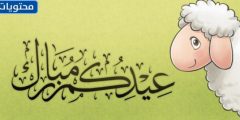 رسائل عيد الاضحى المبارك 2024… اجمل عبارات وصور التهنئة بمناسبة الاضحى 1445