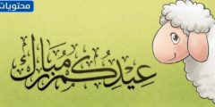 كلام لعيد الاضحى 2024/1445 واجمل كلام التهنئة بمناسبة العيد