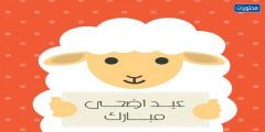 رسائل تهاني عيد الاضحى المبارك 2024 / 1445