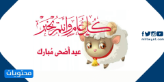 عبارات تهنئة بعيد الأضحى المبارك 1445/2024