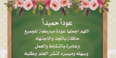 اقوال وكلمات جميلة عن يوم دراسي جديد 2024