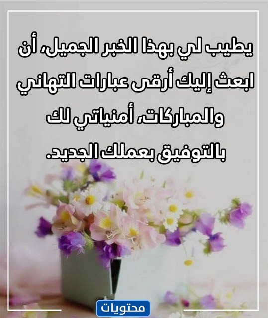 كشوفات مصورة عن انتقال 1444 معلماً ومعلمة إلى الخارج 