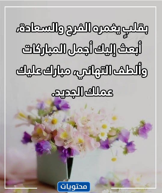 كشوفات مصورة عن انتقال 1444 معلماً ومعلمة إلى الخارج 